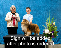 Dogshow 2024-03-03 CSSC Win Photos Sun--144841