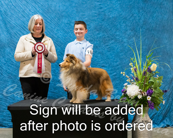 Dogshow 2024-03-03 CSSC Win Photos Sun--144841