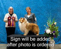 Dogshow 2024-03-03 CSSC Win Photos Sun--144018-2