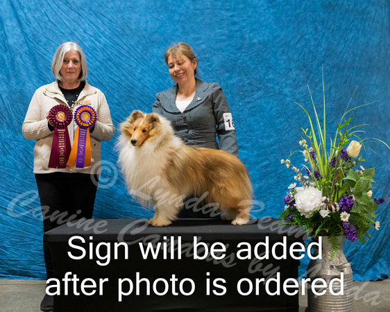 Dogshow 2024-03-03 CSSC Win Photos Sun--144018-2