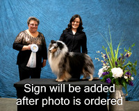 Dogshow 2024-03-02 CSSC Win Photos Sat--164033-2