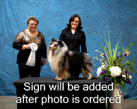 Dogshow 2024-03-02 CSSC Win Photos Sat--164036