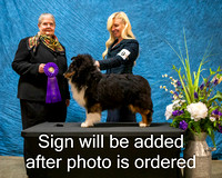 Dogshow 2024-03-02 CSSC Win Photos Sat--132551-2