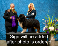 Dogshow 2024-03-02 CSSC Win Photos Sat--132552-2