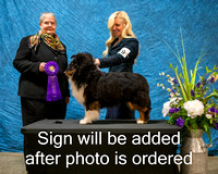 Dogshow 2024-03-02 CSSC Win Photos Sat--132553