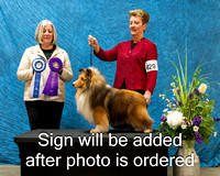 Dogshow 2024-03-03 CSSC Win Photos Sun--144510