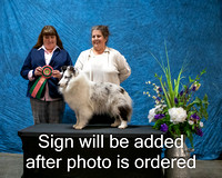 Dogshow 2024-03-02 CSSC Win Photos Sat--155639-2