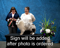 Dogshow 2024-03-02 CSSC Win Photos Sat--155639-4