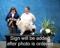 Dogshow 2024-03-02 CSSC Win Photos Sat--155640-2