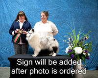 Dogshow 2024-03-02 CSSC Win Photos Sat--155641-2