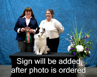 Dogshow 2024-03-02 CSSC Win Photos Sat--155701-3