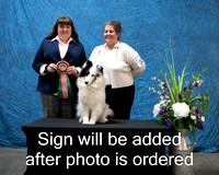 Dogshow 2024-03-02 CSSC Win Photos Sat--155702