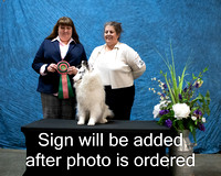 Dogshow 2024-03-02 CSSC Win Photos Sat--155706