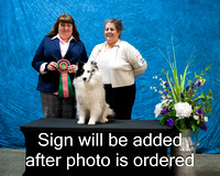 Dogshow 2024-03-02 CSSC Win Photos Sat--155707