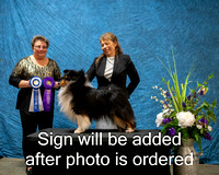Dogshow 2024-03-02 CSSC Win Photos Sat--164453-2