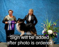 Dogshow 2024-03-02 CSSC Win Photos Sat--164500