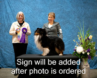 Dogshow 2024-03-03 CSSC Win Photos Sun--144136