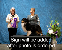 Dogshow 2024-03-03 CSSC Win Photos Sun--144134-2