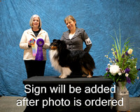 Dogshow 2024-03-03 CSSC Win Photos Sun--144248-4