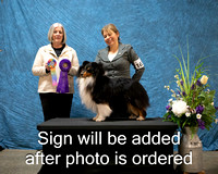 Dogshow 2024-03-03 CSSC Win Photos Sun--144258-2