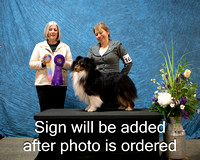 Dogshow 2024-03-03 CSSC Win Photos Sun--144257-2
