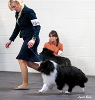 20240302 S2 Best of Breed Comp