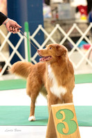 20140517 Sporting Group & Breeds