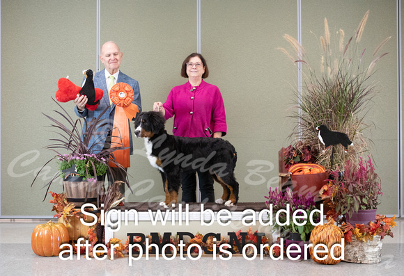 Dogshow 2024-10-26 BMDCNI Day 2--165921-2