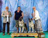 Dogshow 2024-06-29 NEINEA 2024 Win Photos--143052-4