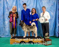 Dogshow 2024-06-29 NEINEA 2024 Win Photos--105510-2