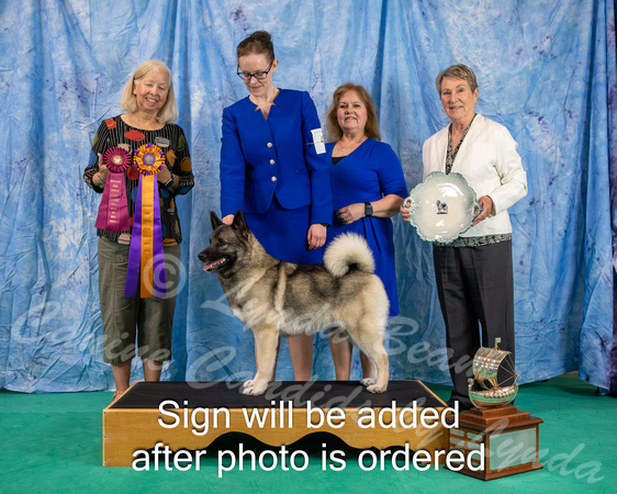 Dogshow 2024-06-29 NEINEA 2024 Win Photos--105510-2