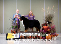 #67 GCHG Vida's Whale of a Time FDC - Day 2 Best of Breed