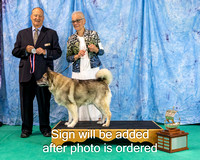 Dogshow 2024-06-30 NEINEA 2024 Win Photos--121753