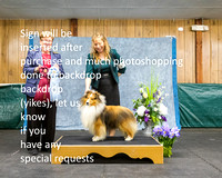 Dogshow 2022-04-09 ISSC Win Photos --134106