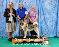 Dogshow 2024-06-30 NEINEA 2024 Win Photos--105537-2