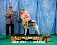 Dogshow 2024-06-29 NEINEA 2024 Win Photos--142834