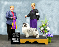 Abby Thomas & A Massey, J Powers-Hodson - #45 Best of Breed PM Show