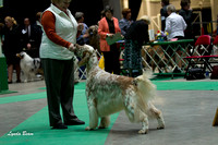 Sporting Group & Breeds