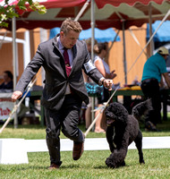 Dogshow 2022-08-01 Burlington WI KC--115445-2