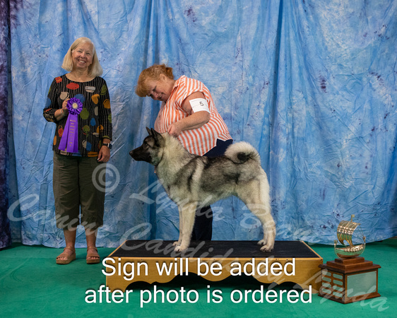 Dogshow 2024-06-29 NEINEA 2024 Win Photos--110705-2