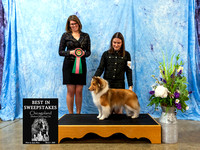 #16 Best in Sweepstakes - Rosemear The Fuchsia is Bright