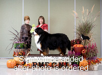 Dogshow 2024-10-26 BMDCNI Day 2--132821-2