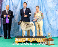 Dogshow 2024-06-30 NEINEA 2024 Win Photos--122315