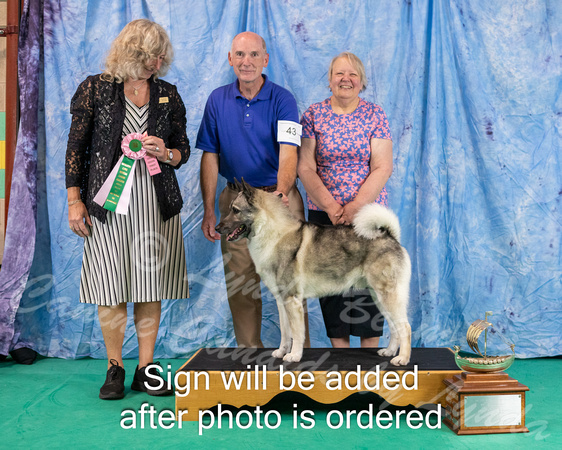 Dogshow 2024-06-30 NEINEA 2024 Win Photos--105627-3