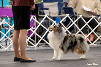 Dogshow 2025-04-05 2025 Interlocking SSC of Monee Candid Photos --094930