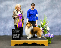 #43 Best of Breed AM Show