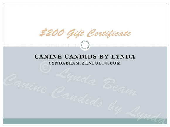 $200 gift certificate