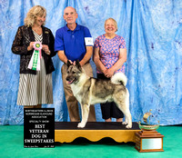 Dogshow 2024-06-30 NEINEA 2024 Win Photos--105537