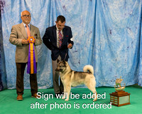 #32 BOB S2 - GCH Silverdal's Blue Diamond