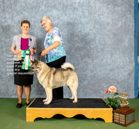 Dogshow 2022-07-03 NEINEA Win Photos --101349-3